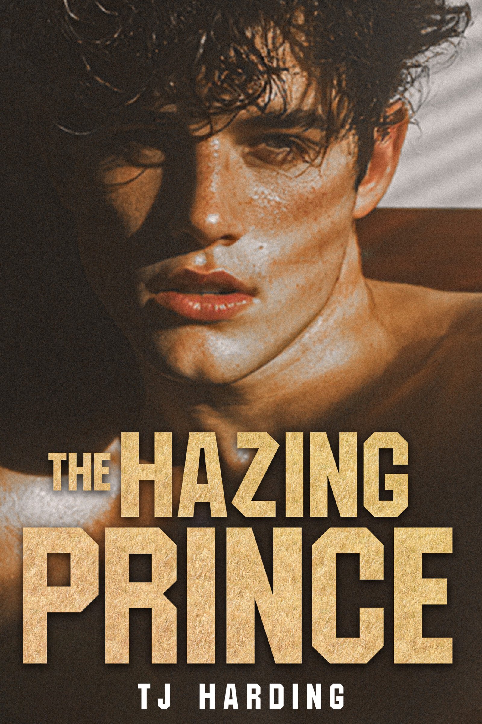 Cover of The Hazing Prince